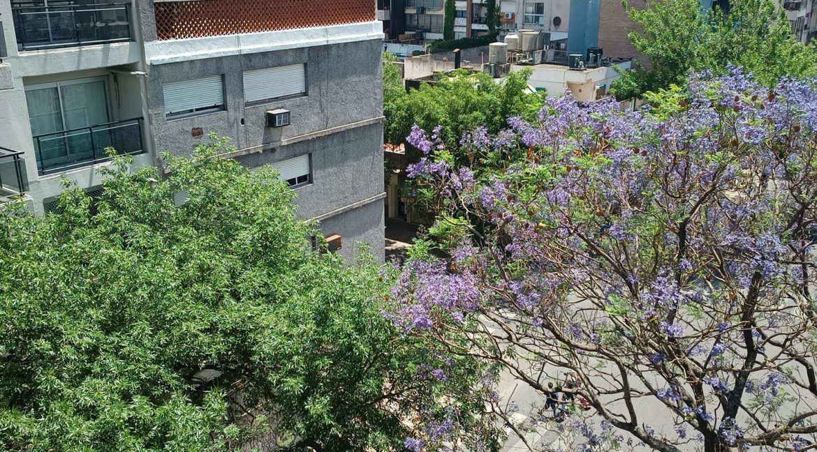 BS AS 1917 BALCON DOBLE FRENTE 1